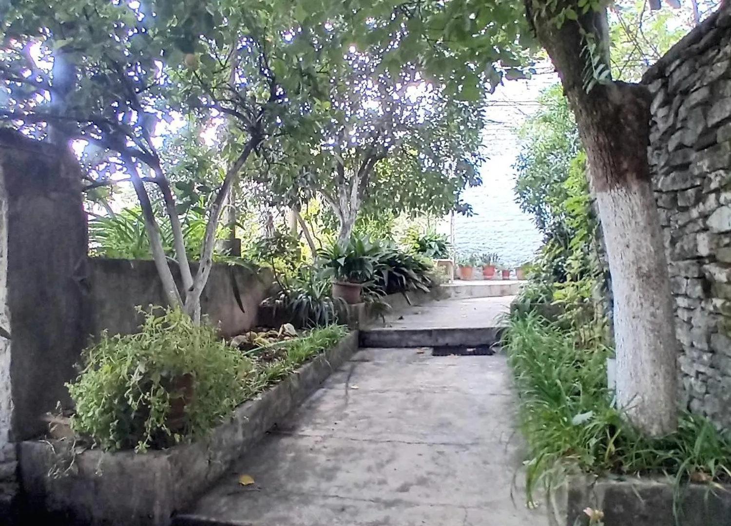 House H Cela Gjirokaster